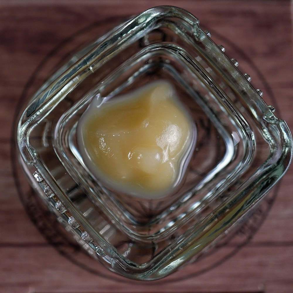 Jellien | Alchemy - Live Budder